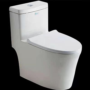 衛(wèi)浴馬桶虹吸式馬桶坐便器無水箱座便器智能衛(wèi)浴智能馬桶